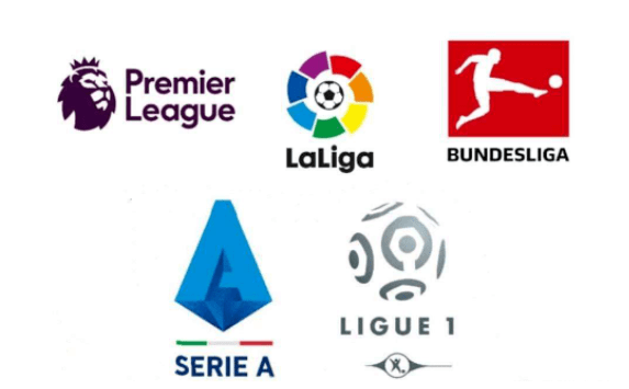 涛的退籍再 涛的退籍再